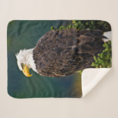 Amerikaanse Zeearend Zit Sherpa Deken (Voorkant (horizontaal))