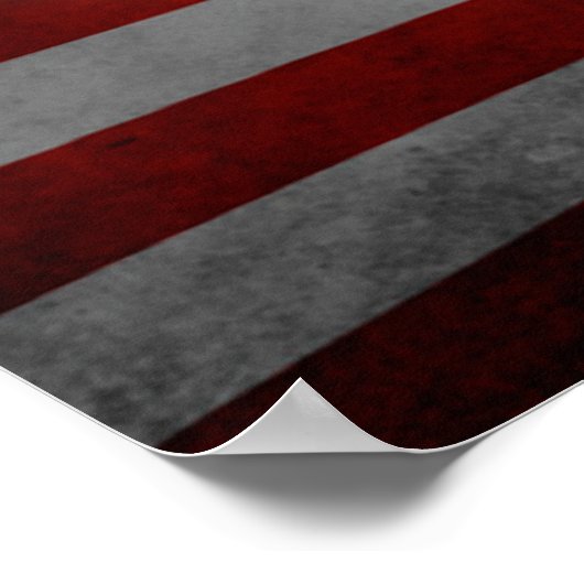 Amerikaanse zeegarend poster (Hoek)