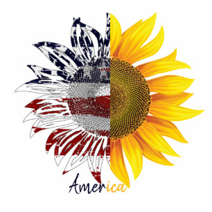 Amerikaanse zonnebloemmagneet fotobeeldje magneet