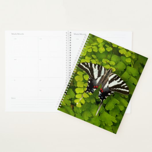 Amerikaanse Zwaluwstaartvlinder Planner (Display)