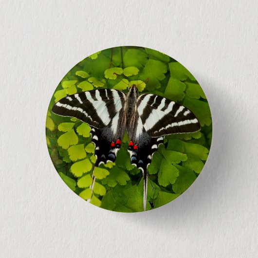 Amerikaanse zwaluwstaartvlinder ronde button 3,2 cm (Voorkant)