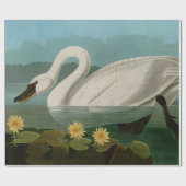 Amerikaanse Zwanenvogels Audubon Cadeaupapier (Vlak)