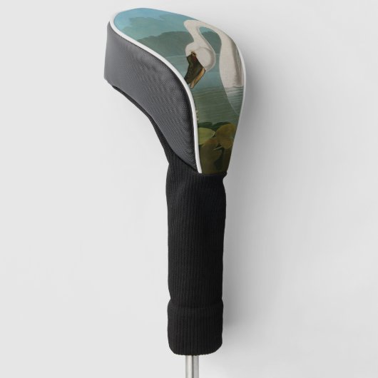 Amerikaanse Zwanenvogels Audubon Golfheadcover (Schuin)