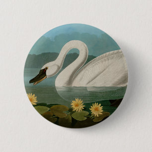 Amerikaanse Zwanenvogels Audubon Ronde Button 5,7 Cm