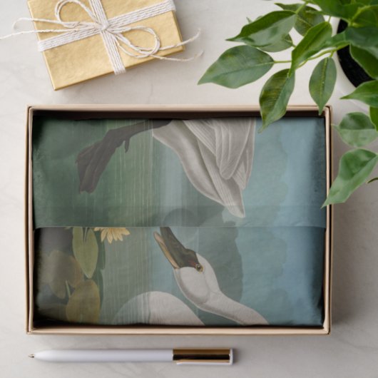 Amerikaanse Zwanenvogels Audubon Tissuepapier (Geschenk)