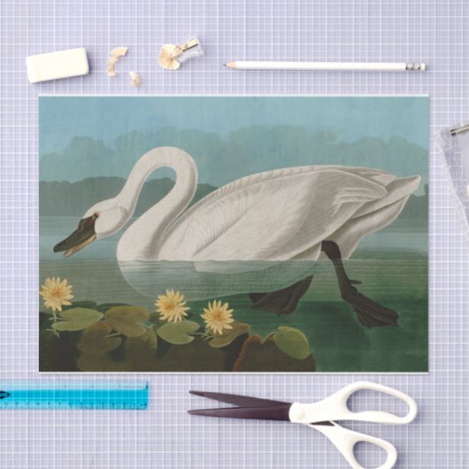 Amerikaanse Zwanenvogels Audubon Tissuepapier (Craft)