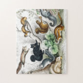 Amerikaanse zwarte eekhoorn, Ariel Petaurus, eekho Legpuzzel (Verticaal)