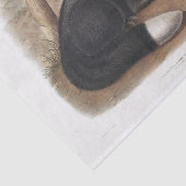 Amerikaanse zwarte of zilvervos-ontkoppeling tissuepapier (Detail)