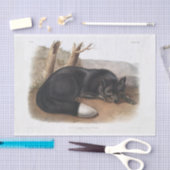 Amerikaanse zwarte of zilvervos-ontkoppeling tissuepapier (Craft)