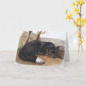 Amerikaanse zwarte of zilvervos (Vulpes fulvus) Kaart (Gele Bloem)