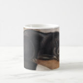 Amerikaanse zwarte of zilvervos (Vulpes fulvus) Koffiemok (Center)