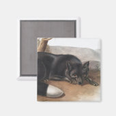 Amerikaanse zwarte of zilvervos (Vulpes fulvus) Magneet (Voorkant / Achterkant)