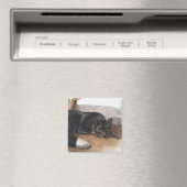 Amerikaanse zwarte of zilvervos (Vulpes fulvus) Magneet (Insitu (Vaatwasser))