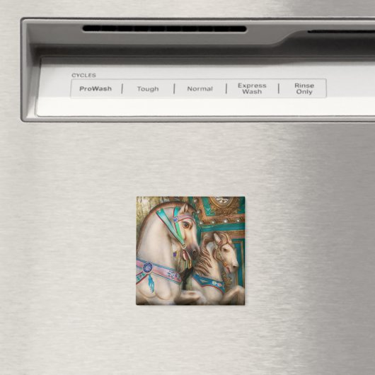 Amerikana - Carrouselschoonheid Magneet (Insitu (Vaatwasser))