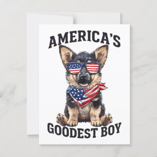 Amerika's Beste Herder Briefkaart