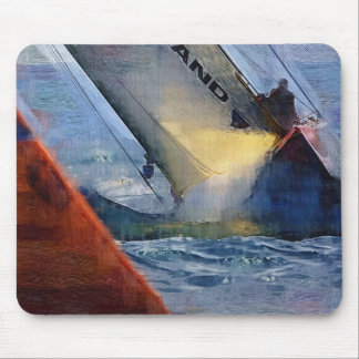 Amerika's Cup, Valencia Spanje 2007, Team New Zeal Muismat