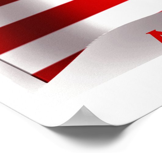 AMERIKA'S GAME POSTER (Hoek)