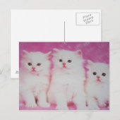 Amerika's Next Toop Modellen Briefkaart (Voorkant / Achterkant)