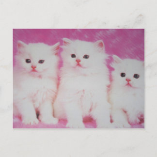 Amerika's Next Toop Modellen Briefkaart