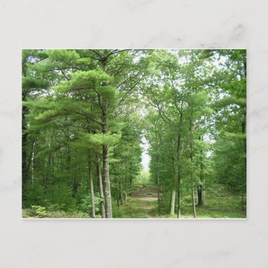 Amerika's Stonehenge, Salem, VT Briefkaart (Voorkant)