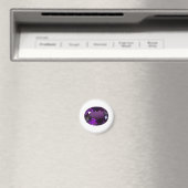 Amethist Edelsteen Magneet (Insitu (Vaatwasser))