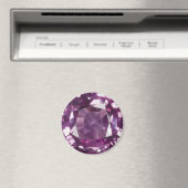 Amethyst 2 magneet (Insitu (Vaatwasser))