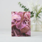 Amethyst Deceiver Briefkaart (Staand voorkant)