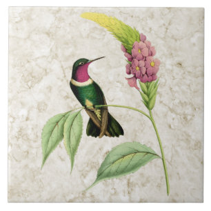 Amethyst Gedekte Hummingbird keramische tegel Tegeltje