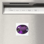 Amethyst Gemstone Magneet (Insitu (Vaatwasser))