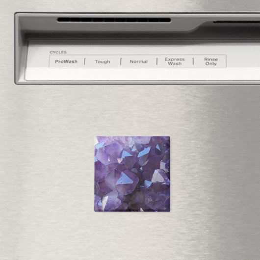 Amethyst Magneet (Insitu (Vaatwasser))