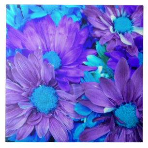 Amethyst Paars en Turquoise Blue Daisies Tegeltje
