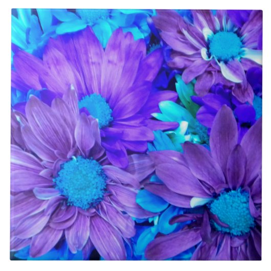 Amethyst Paars en Turquoise Blue Daisies Tegeltje (Voorkant)