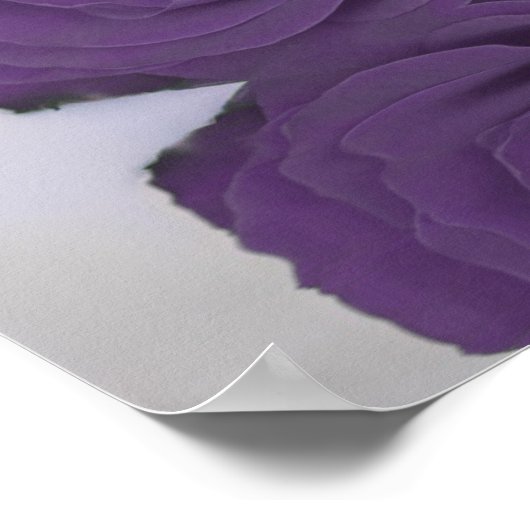 Amethyst Paars Roos 15 Tabel Zetel Poster (Hoek)