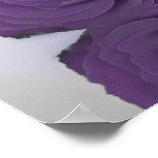 Amethyst Paars Roos 20 Tabel Zitkuur Poster (Hoek)