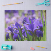 Amethyst Paarse Irises Tissuepapier (Craft)