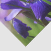 Amethyst Paarse Irises Tissuepapier (Detail)