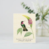 Amethyst Throated Hummingbird Art Briefkaart (Staand voorkant)
