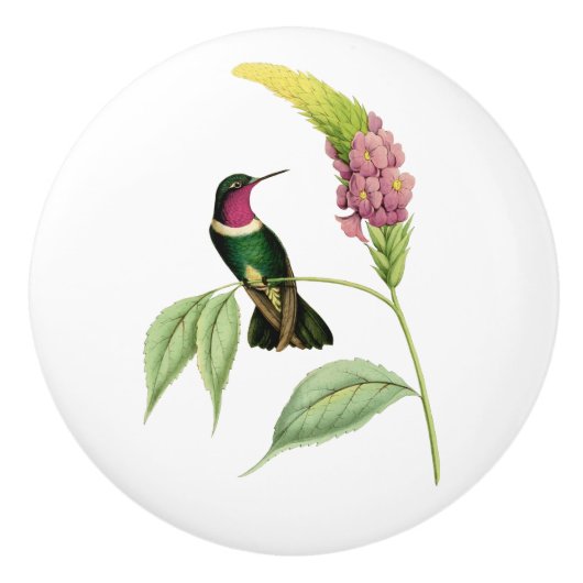 Amethyst Throated Hummingbird Keramische Knop (Voorkant)