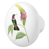 Amethyst Throated Hummingbird Keramische Knop (Rechts)