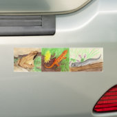 Amfibieën Bumpersticker (Op auto)