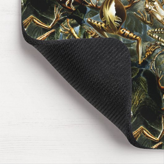  amfibieën in Haeckel Muismat (Hoek)