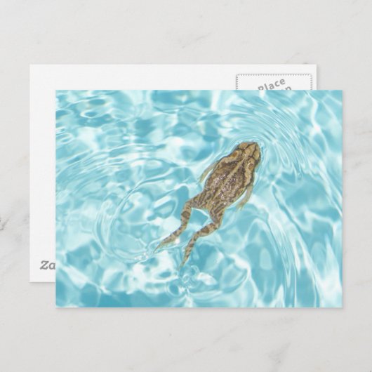 Amfibisch Briefkaart 01 (Voorkant / Achterkant)