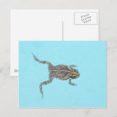 Amfibisch Briefkaart 02 (Voorkant / Achterkant)