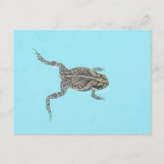 Amfibisch Briefkaart 02