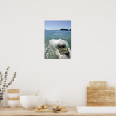 Amfibische Assaulenuitstappen uit het ruim Poster (Keuken)