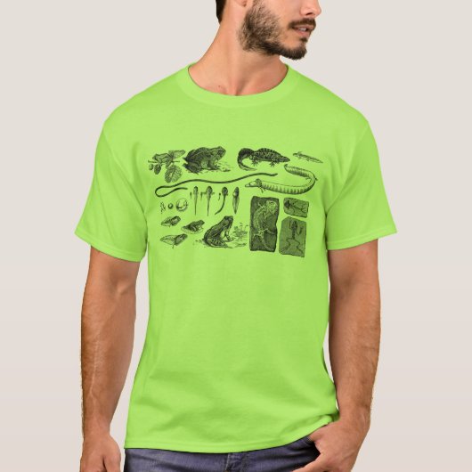 Amfibische evolutie t-shirt (Voorkant)