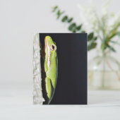 Amfibische kikker op muur briefkaart (Staand voorkant)