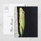 Amfibische kikker op muur briefkaart (Voorkant / Achterkant)