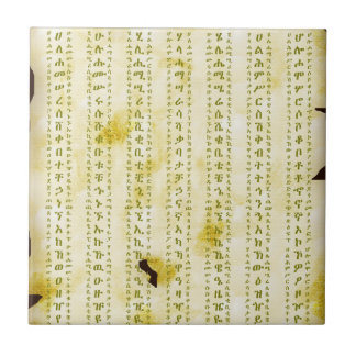Amharische Fidel op antiek perkament Tegeltje