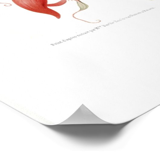 Amherstia nobilis poster (Hoek)